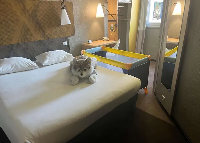 Hôtel accueillant les animaux: Ibis Montauban